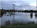 TL4381 : Flood water near Mepal - The Ouse Washes by Richard Humphrey