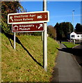 SN4221 : Two brown signs on a bank alongside the A484 Tanerdy, Carmarthen by Jaggery