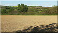 SS5827 : Tilled field, Great Westacott by Derek Harper