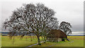 NH7445 : Leanach Cottage, Culloden Battlefield by Julian Paren