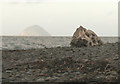 NX0882 : Tree stump on the beach by Richard Sutcliffe