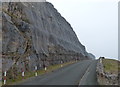 SH7783 : Cliffs along Marine Drive on Great Orme's Head by Mat Fascione