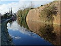 SO8171 : Staffordshire and Worcestershire Canal by Philip Halling