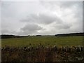 NZ0655 : View over the countryside to the north of Boundary Lane by Robert Graham