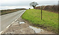 ST7473 : Gorse Lane by Derek Harper