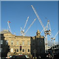 NT2574 : Cranes catching the sunlight by M J Richardson