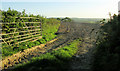 SS5927 : Tilled field, Upcott Farm by Derek Harper