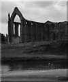 SE0754 : Bolton Priory by habiloid