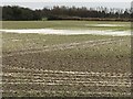 TF4208 : Flooded land opposite The Manor House in Wisbech St Mary by Richard Humphrey