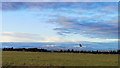 NH7444 : Flag on the Government Line, Culloden Battlefield by Julian Paren