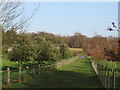 TQ3841 : Public footpath near Felcourt by Malc McDonald