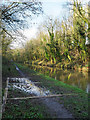 SJ7825 : Canal with path drainage feature by Trevor Littlewood