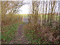 TQ4143 : Footpath and gate near Dormansland by Malc McDonald