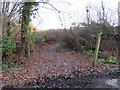 TQ4043 : Public footpath near Lingfield by Malc McDonald