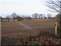 TQ3943 : Public footpath near Lingfield by Malc McDonald