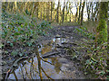 SE1037 : Muddy path in Cottingley Wood by Stephen Craven