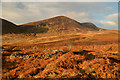 NC9414 : Sheepfold in Upper Glen Loth, Sutherland by Andrew Tryon