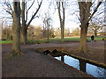 TQ2668 : Bridge over a drainage channel, Morden Hall Park by Malc McDonald