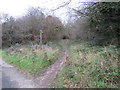 TQ2561 : Bridleway onto Banstead Downs by Malc McDonald