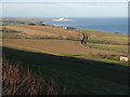 NT8169 : Coastal farmland, Berwickshire by M J Richardson