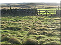 NT8469 : Field gate on Dowlaw Road by M J Richardson