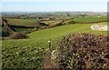 SX8955 : Valley above Galmpton by Derek Harper