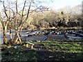 NZ0851 : Fish ladder beside the weir by Robert Graham