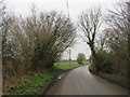 TL4824 : Country lane near Farnham by Malc McDonald