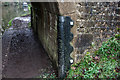 SJ6932 : Bridge Protection Bars, Bridge 59, Shropshire Union Canal by Brian Deegan