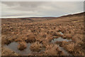 NC9323 : Moorland West of Cnoc Salislade, Kildonan, Sutherland by Andrew Tryon