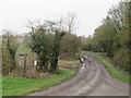 TL4726 : Track at Mallows Green, near Manuden by Malc McDonald