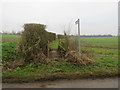 TL4429 : Public footpath near Stocking Pelham by Malc McDonald