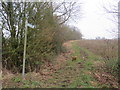 TL4231 : Bridleway near Brent Pelham by Malc McDonald