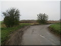 TL4131 : Country lane near Anstey by Malc McDonald