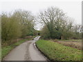 TL4131 : Country lane near Anstey by Malc McDonald