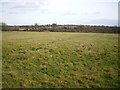 SP1782 : Ridge and Furrow in a field by Castle Hills Farm by Richard Law