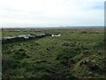 SJ2875 : Salt marsh at Denhall Quay by Christine Johnstone