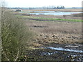 SJ3073 : Bridge Pool and Marsh Covert hide by Christine Johnstone