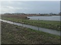 SJ3073 : Drain and Bridge Pool, RSPB Burton Mere Wetlands by Christine Johnstone