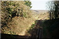 TQ0747 : Railway Line Near Shere by Peter Trimming