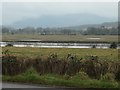 NX9870 : Merse [salt marsh] on the west bank of the River Nith by Christine Johnstone