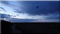 TF4299 : Chinook at Donna Nook by Ian Paterson