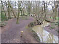 TQ3298 : Path alongside Turkey Brook, near Enfield by Malc McDonald