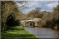 SJ6637 : Betton Wood Bridge No.66, Shropshire Union Canal by Brian Deegan