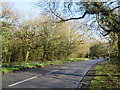 TQ5639 : Langton Road (A264) at Rusthall Common by Malc McDonald