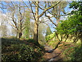 TQ5639 : Path on Rusthall Common by Malc McDonald