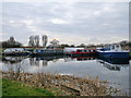 NS9082 : Forth and Clyde Canal, Kelpies Marina by David Dixon