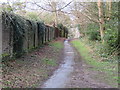 TQ5738 : Path on Tunbridge Wells Common by Malc McDonald