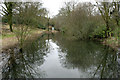 NS3760 : Former fish pond, Castle Semple by Richard Sutcliffe