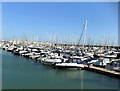 TQ3302 : Brighton Marina - March 2020 by Paul Gillett